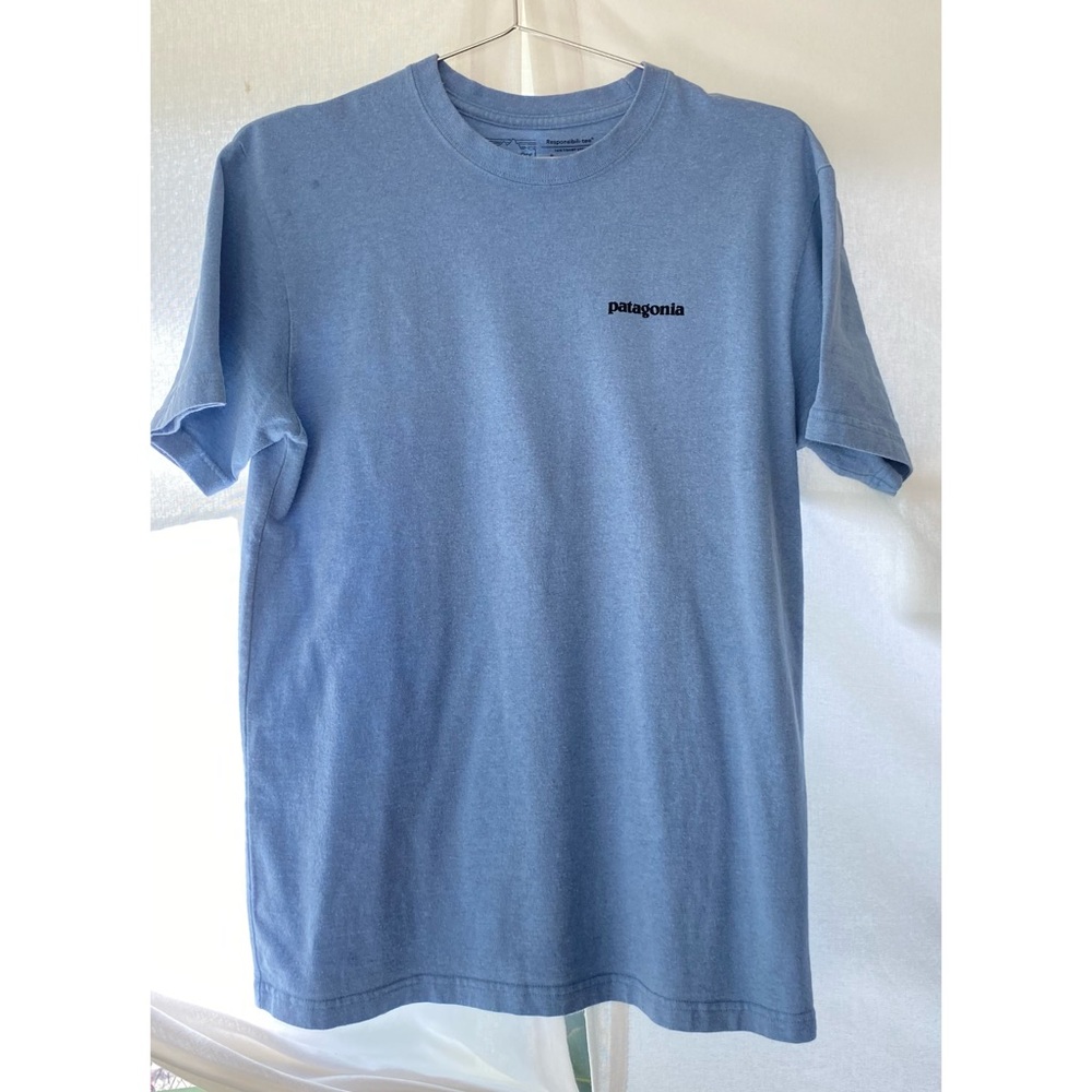 Patagonia Light Blue Graphic Tee Size S